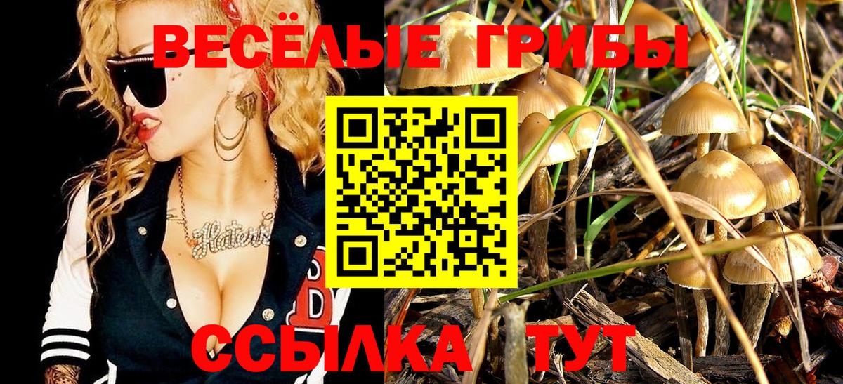 Галлюциногенные грибы Psilocybe  Галлюциногенные грибы Cubensis  Богородицк  Вход с VPN 
