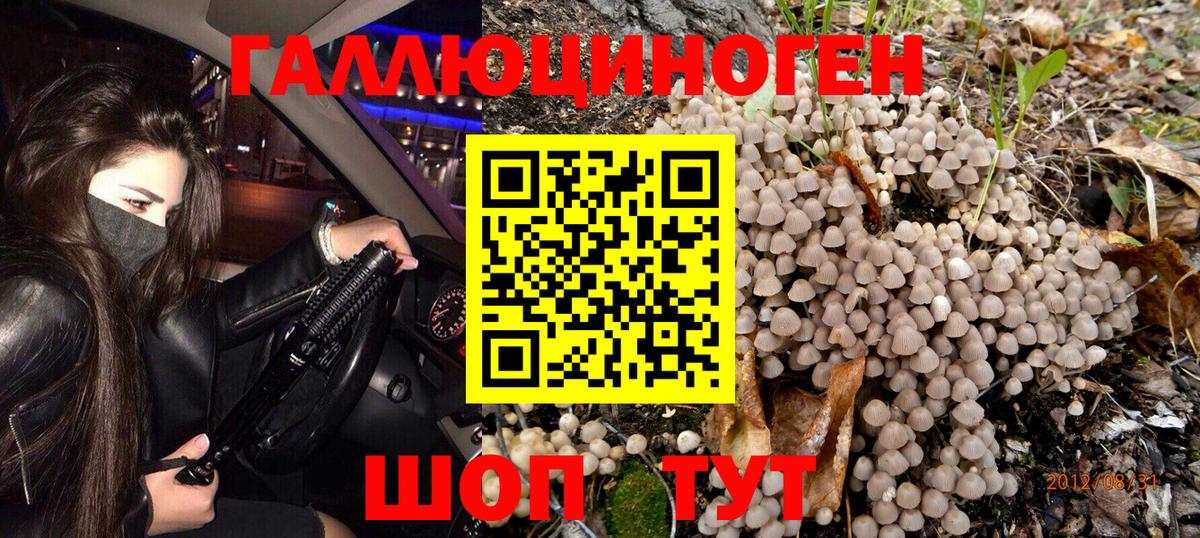 Псилоцибиновые грибы Magic Shrooms Богородицк